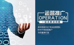立十代运营：京东店铺数据化运营需要注意哪些数据？