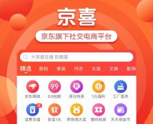立十京东代运营：京东京喜个人店怎么入驻？